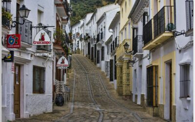 Inicio de Clases de Francés – Royal Language Tepic